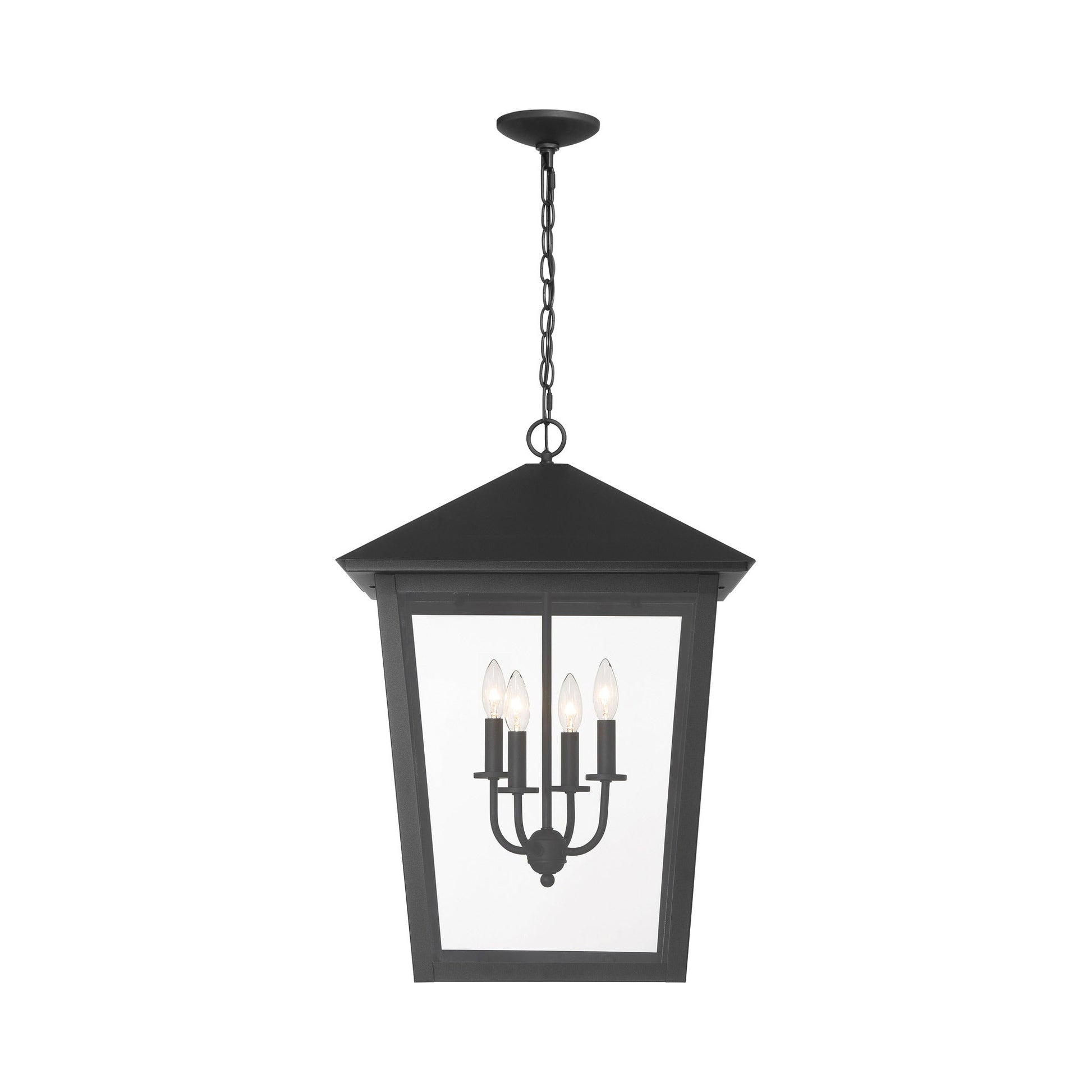 Noble Hill Outdoor Pendant Light in Detail.