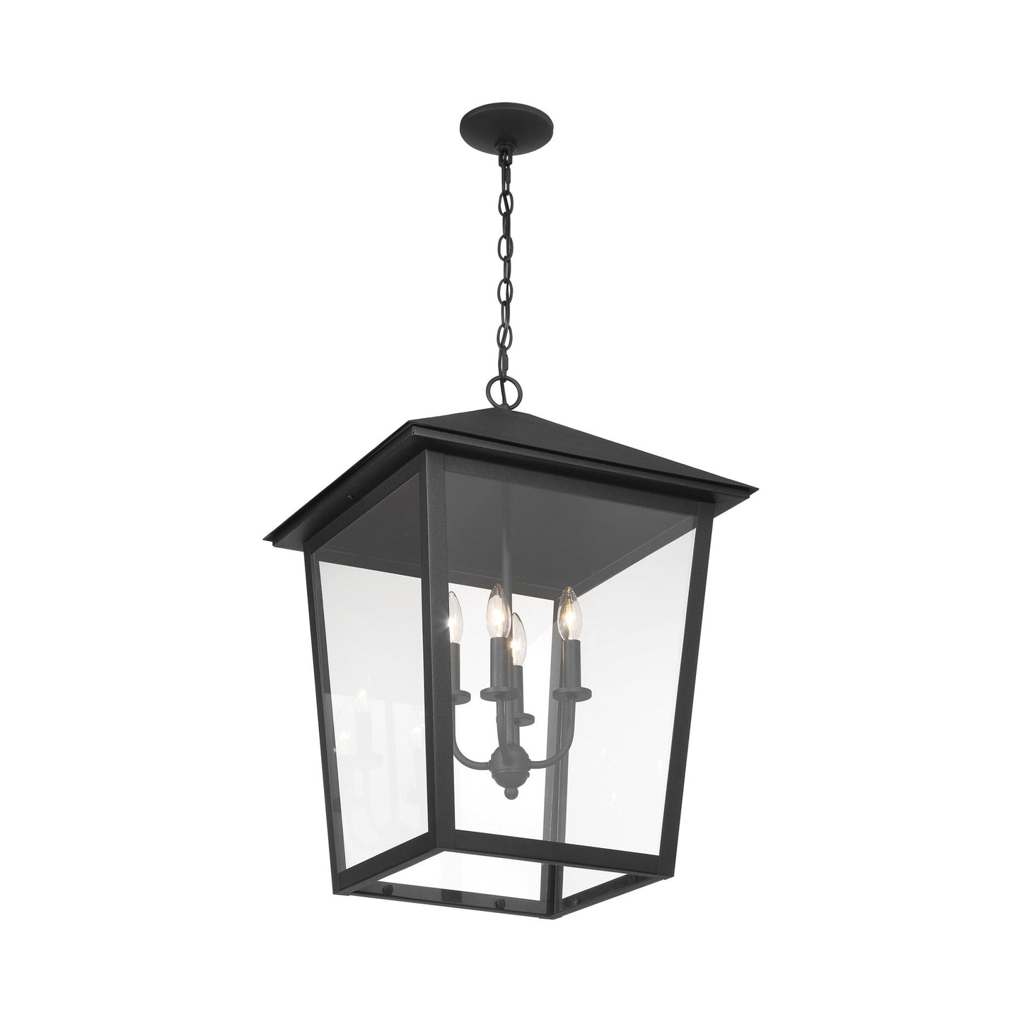 Noble Hill Outdoor Pendant Light in Detail.