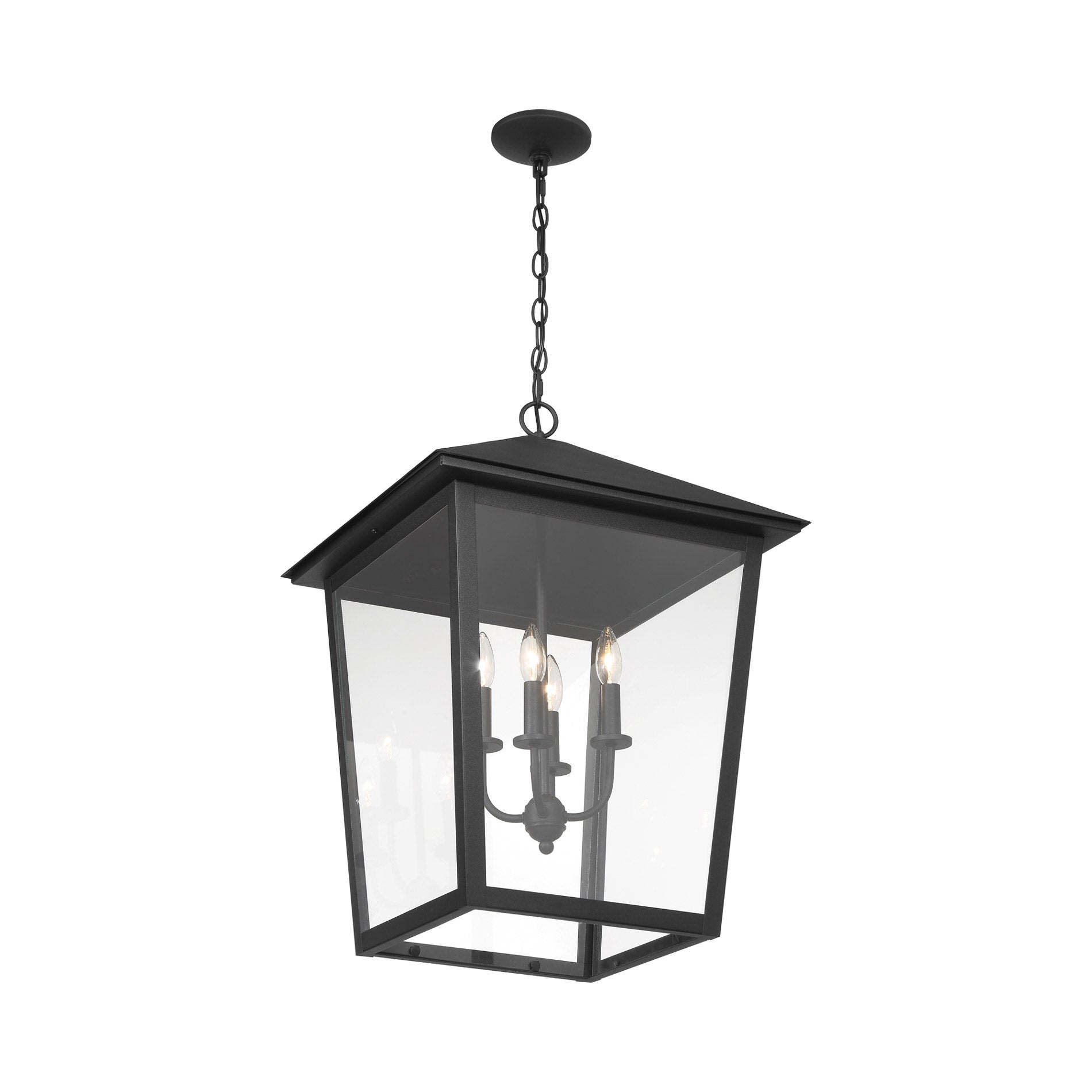 Noble Hill Outdoor Pendant Light in Detail.