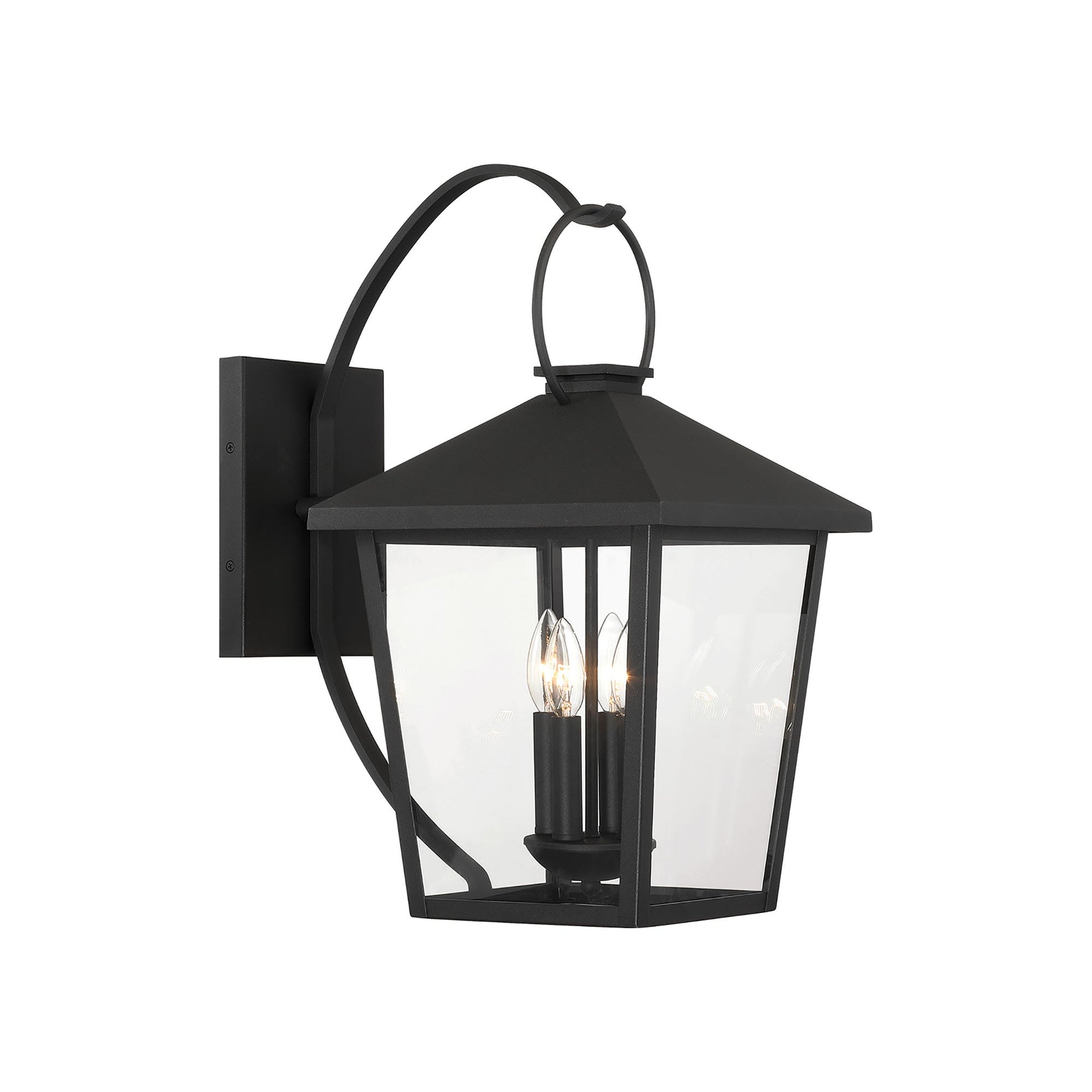 Parkside Outdoor Wall Light in Detail.