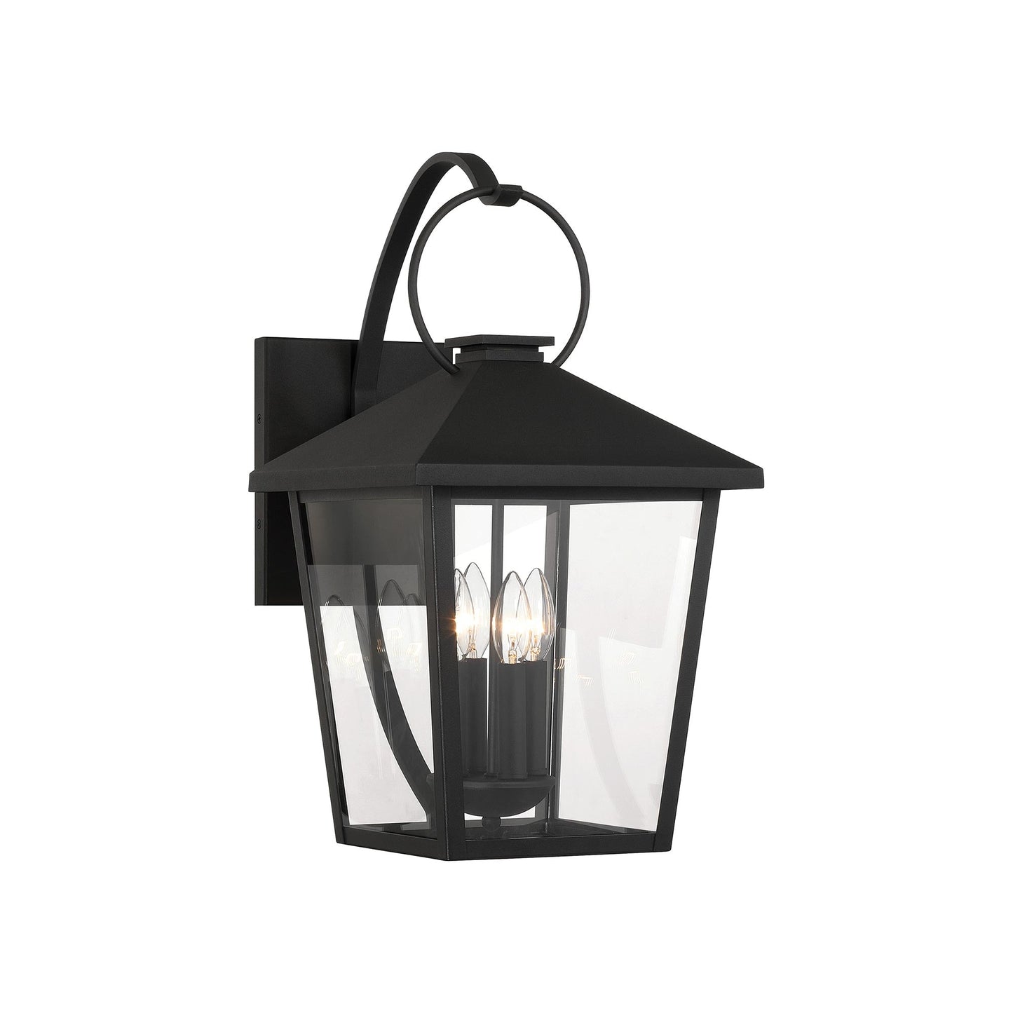 Parkside Outdoor Wall Light in Detail.