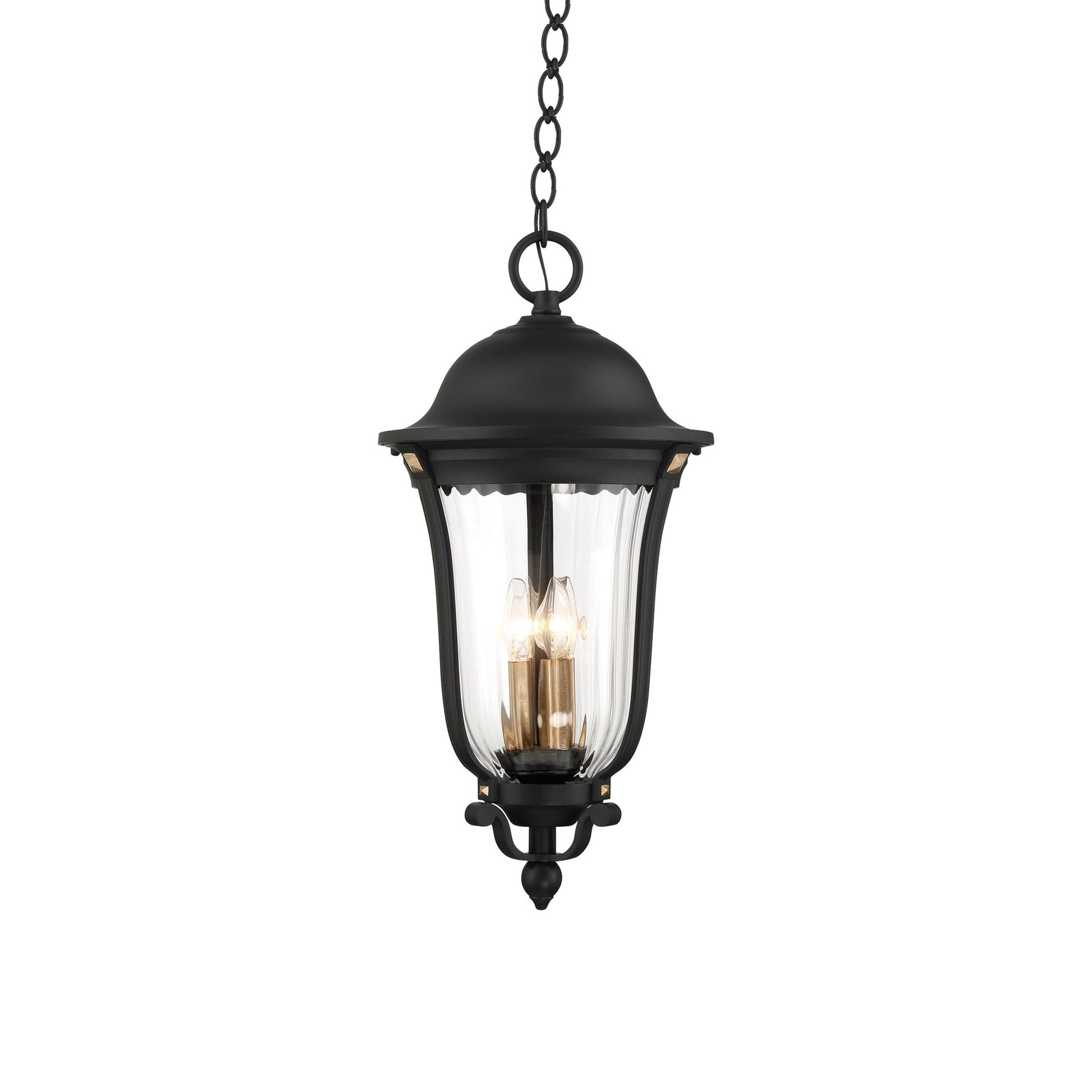 Peale Street Outdoor Pendant Light (4-Light).