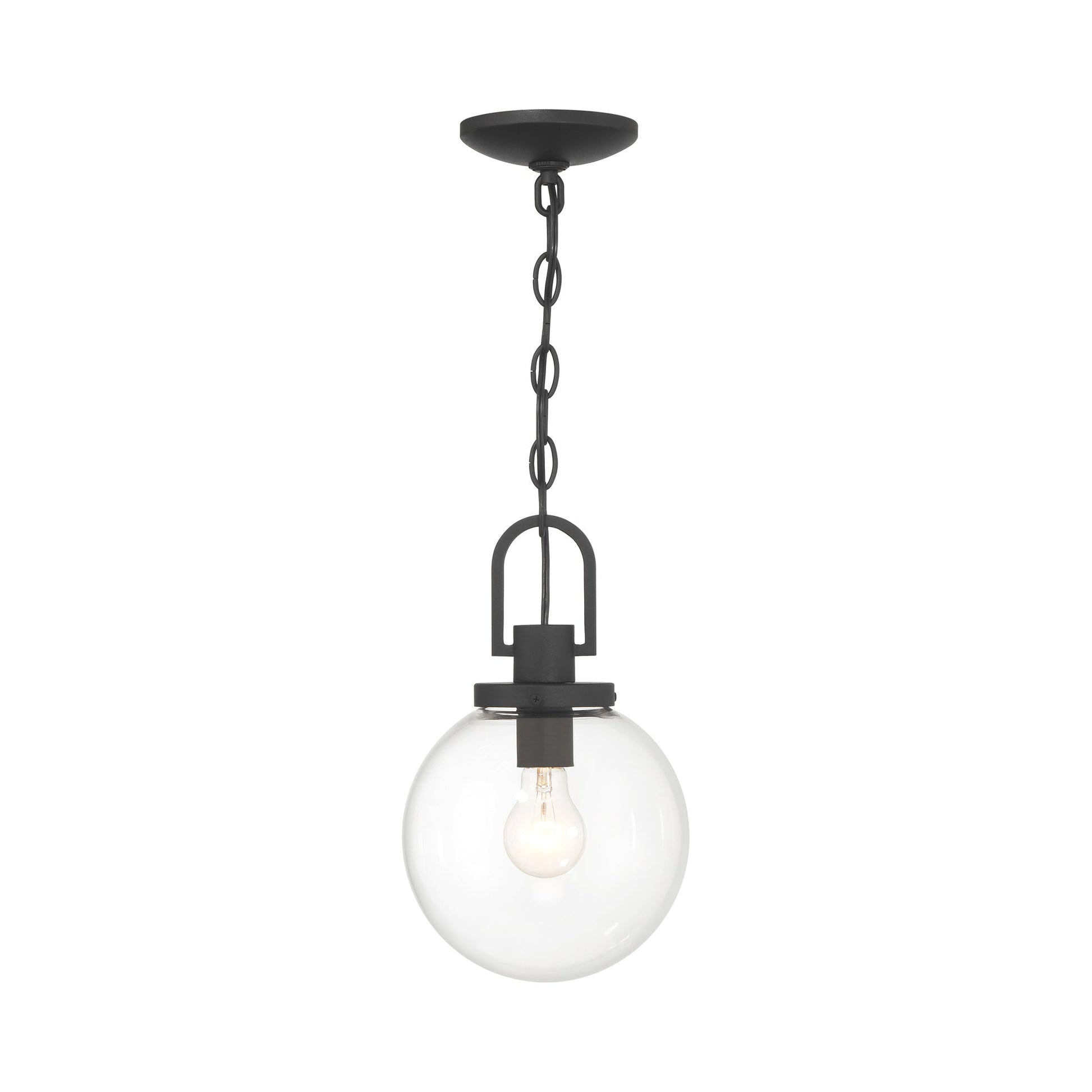 Wenston Outdoor Pendant Light in Detail.