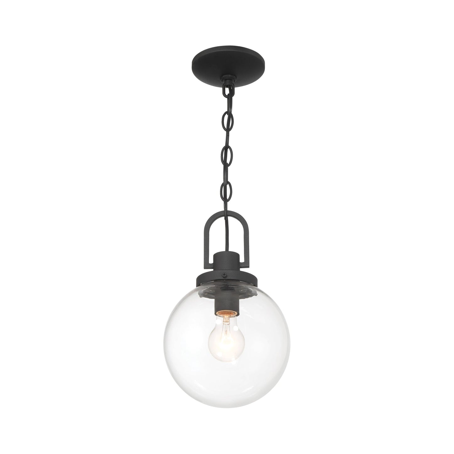 Wenston Outdoor Pendant Light in Detail.