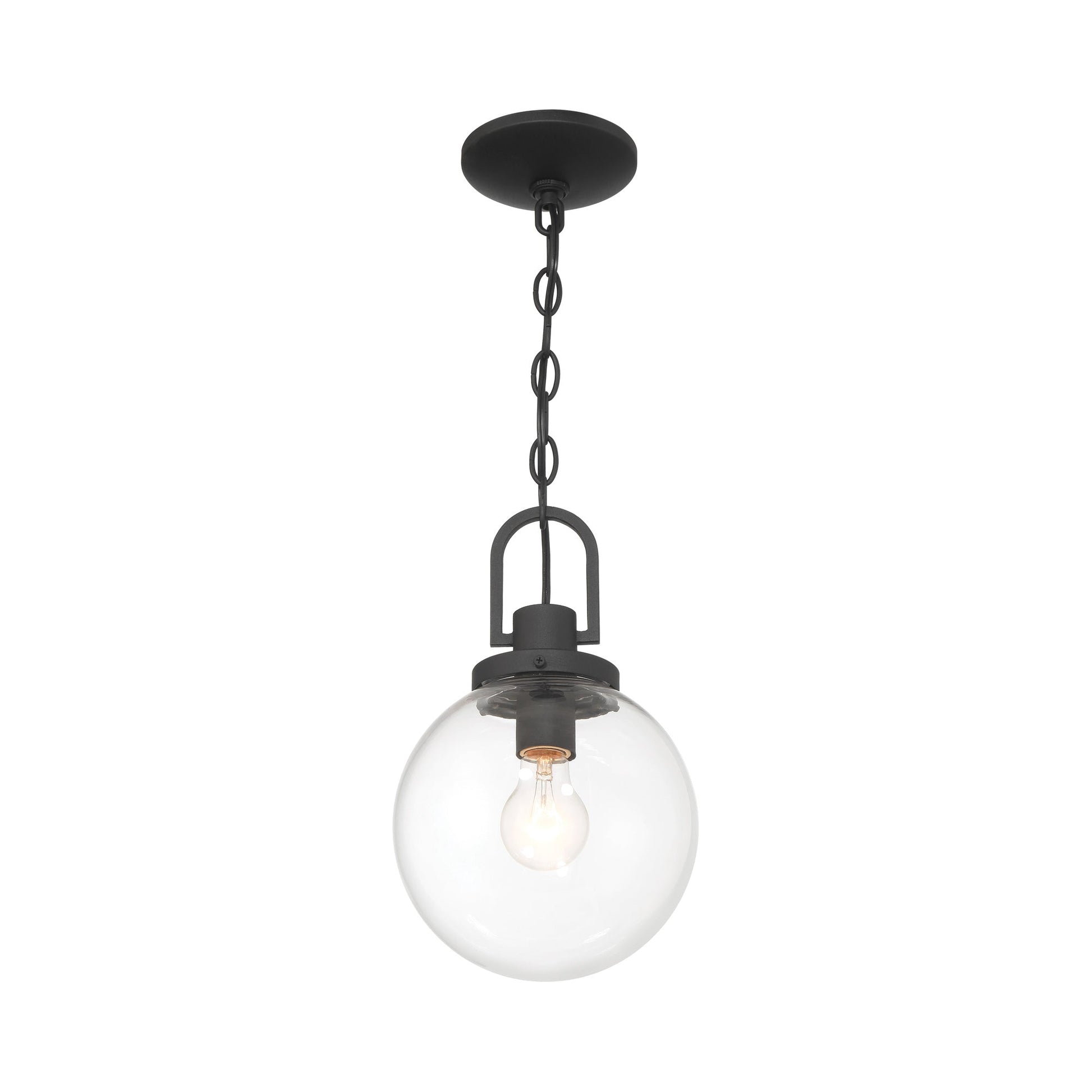 Wenston Outdoor Pendant Light in Detail.