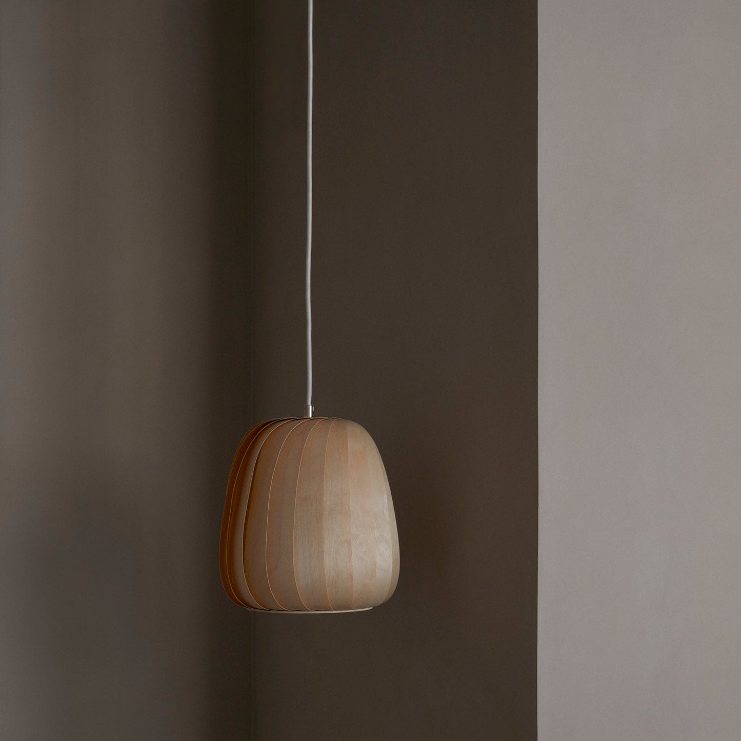 ST906 Pendant Light in Detail.