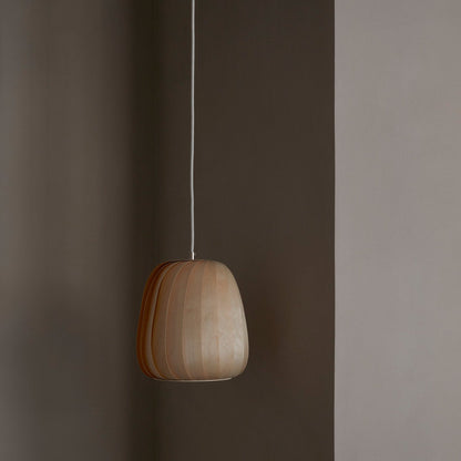 ST906 Pendant Light in Detail.