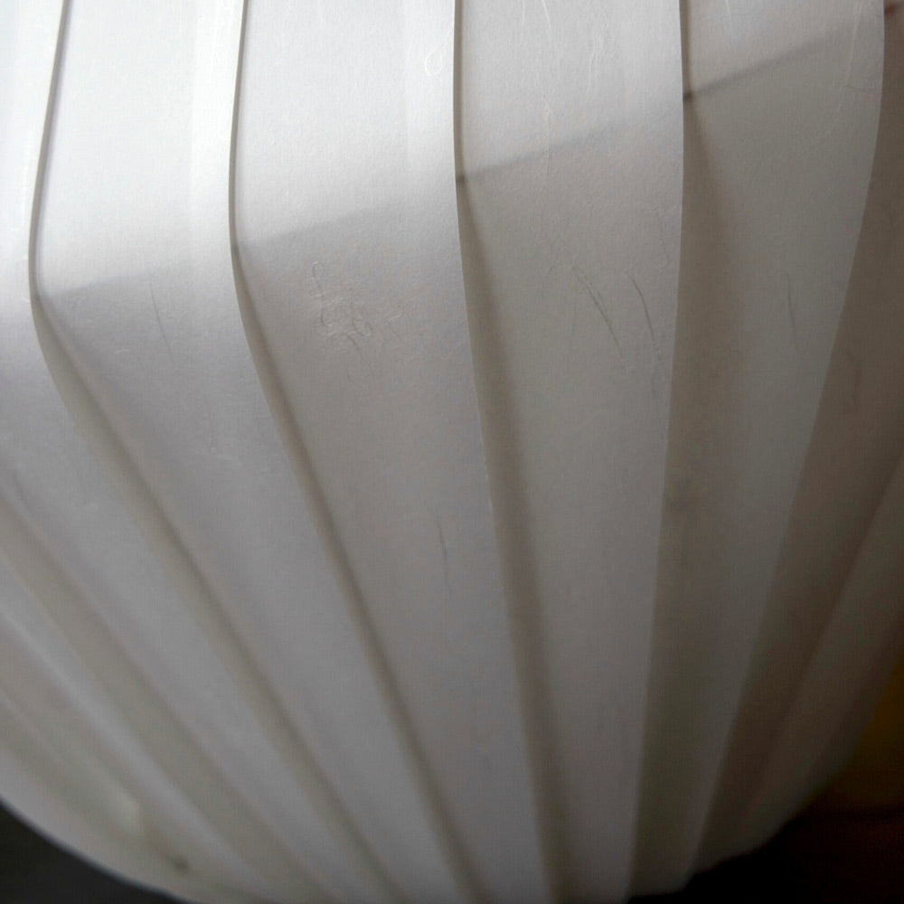 TR31 Pendant Light in Detail.