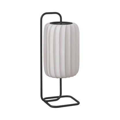 TR37 Table Lamp in Detail.