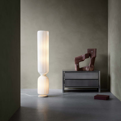 TR41 Floor Lamp in living room.