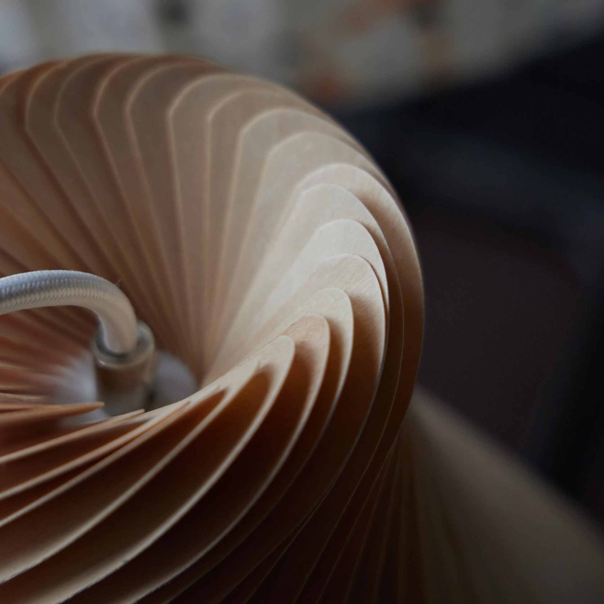 TR42 Pendant Light in Detail.