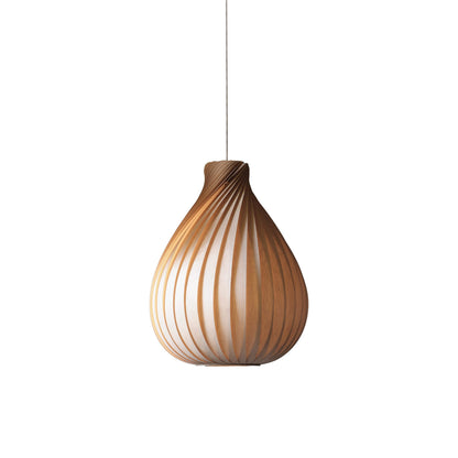 TR42 Pendant Light in Detail.