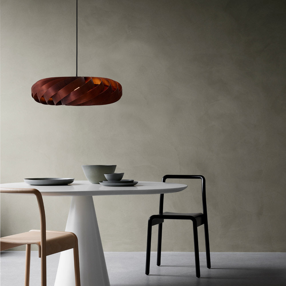 TR5 Pendant Light in living room.