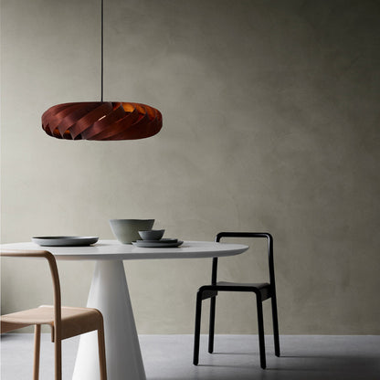 TR5 Pendant Light in living room.