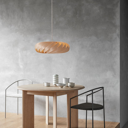 TR5 Pendant Light in living room.