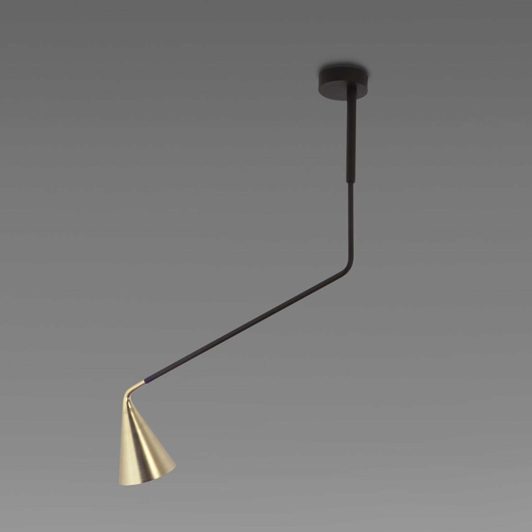 Gordon Telescopic Flush Mount Ceiling Light in Detail.