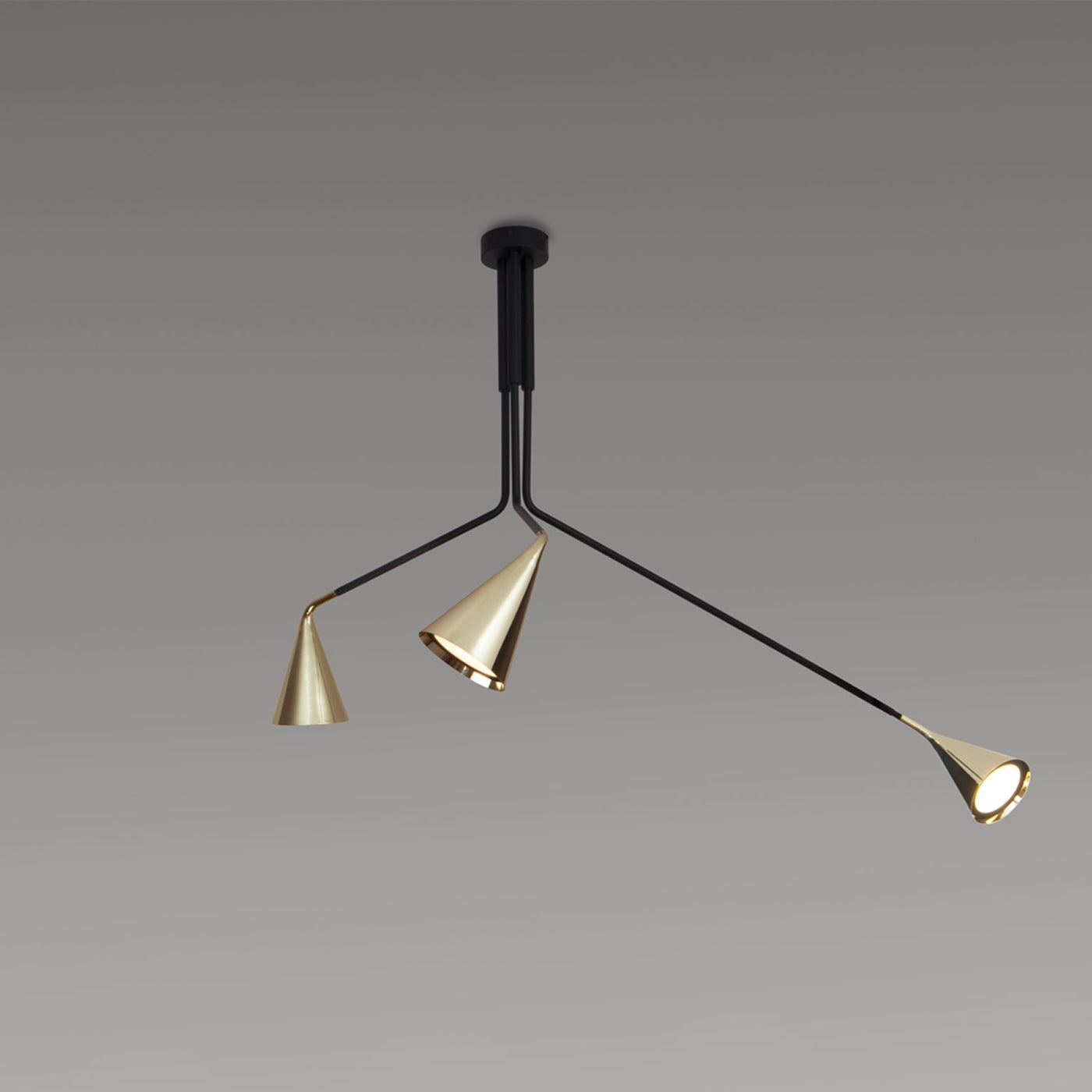 Gordon Telescopic Multi Light Flush Mount Ceiling Light in Detail.