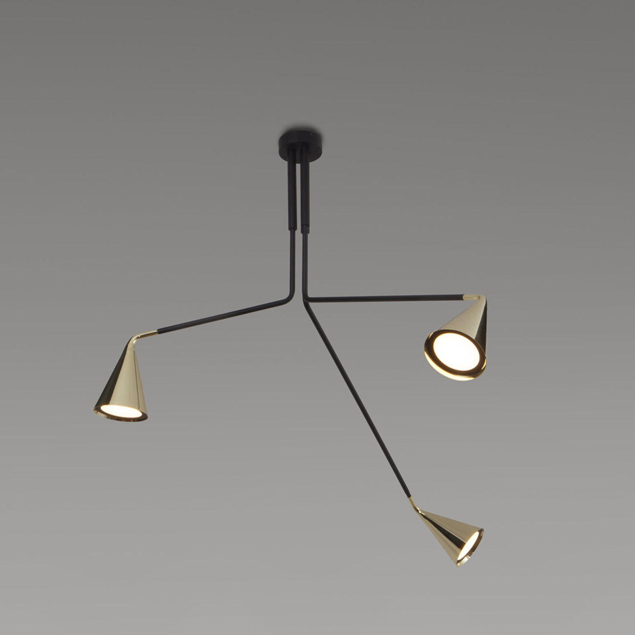 Gordon Telescopic Multi Light Flush Mount Ceiling Light in Detail.