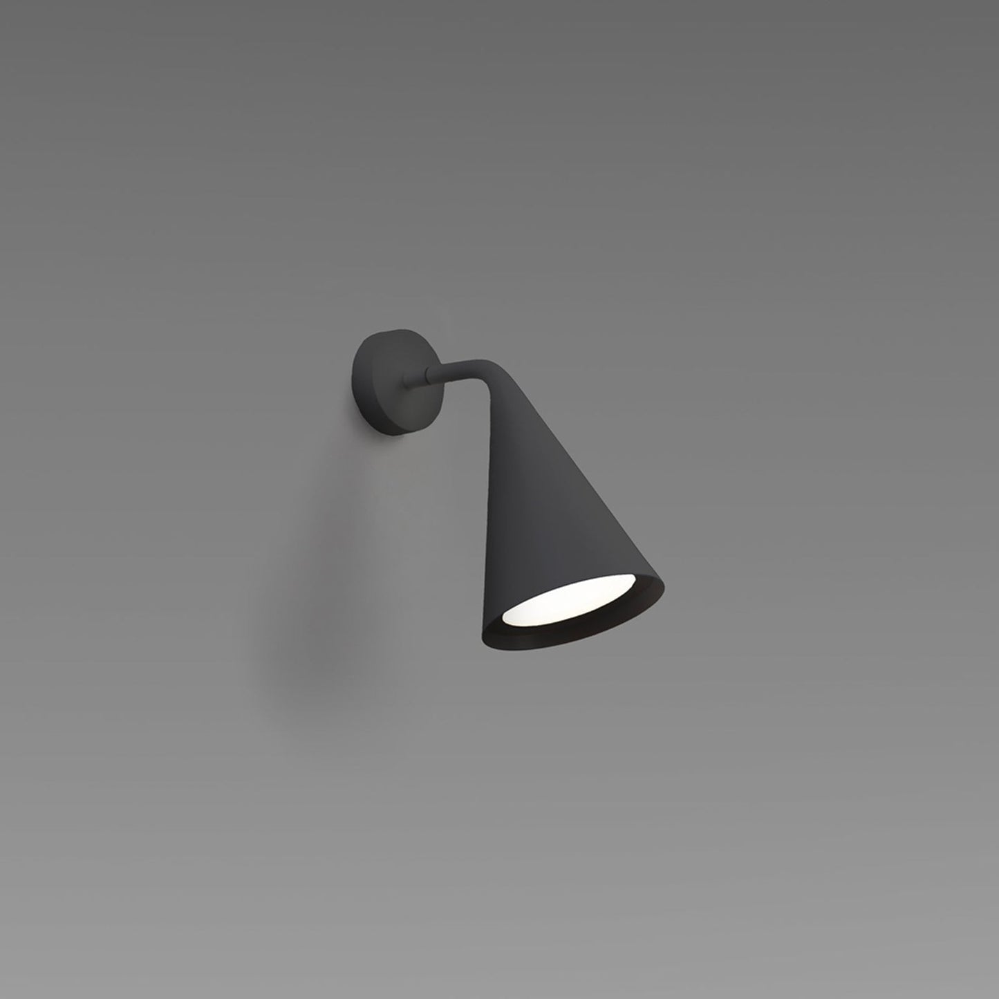 Gordon Wall Light in Detail.