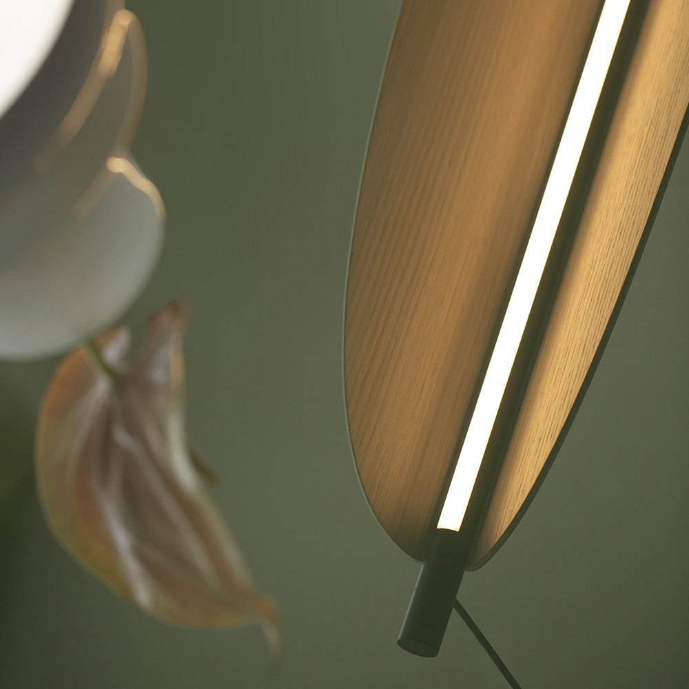 Thula LED Pendant Light in Detail.
