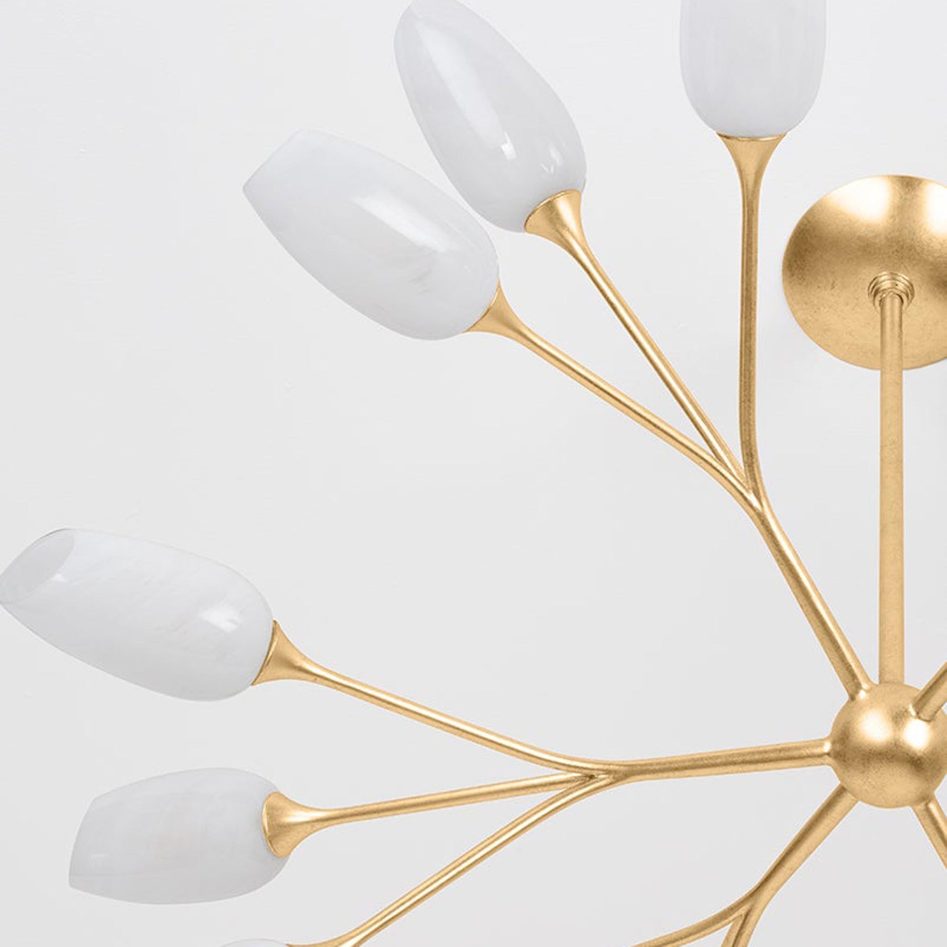 Aldean Chandelier in Detail.