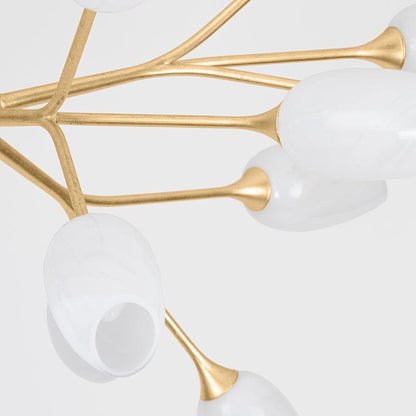 Aldean Chandelier in Detail.