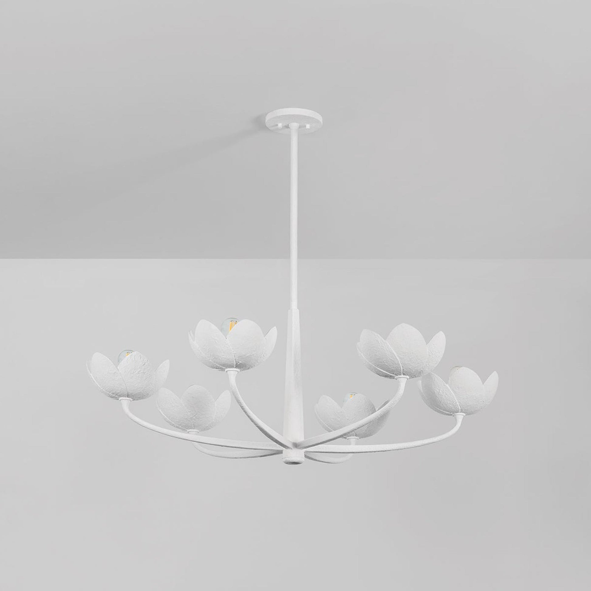 Arcata Chandelier in Detail.