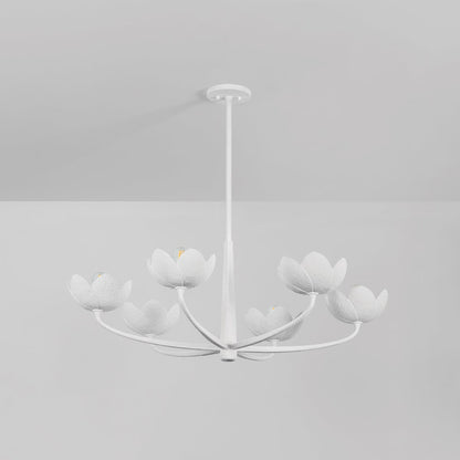 Arcata Chandelier in Detail.