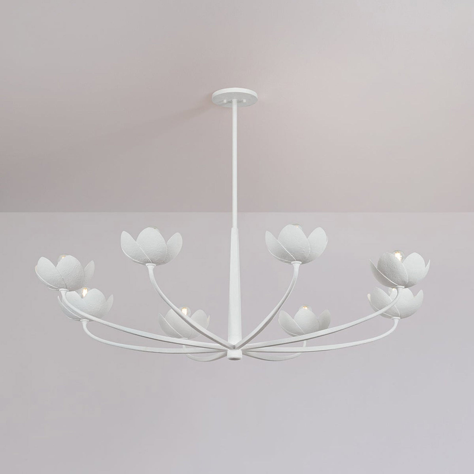 Arcata Chandelier in Detail.