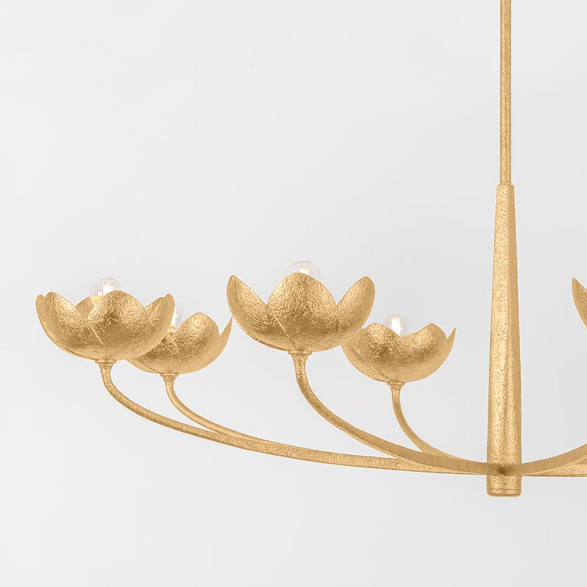 Arcata Chandelier in Detail.