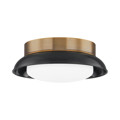 Arnie Flush Mount Ceiling Light in Black.