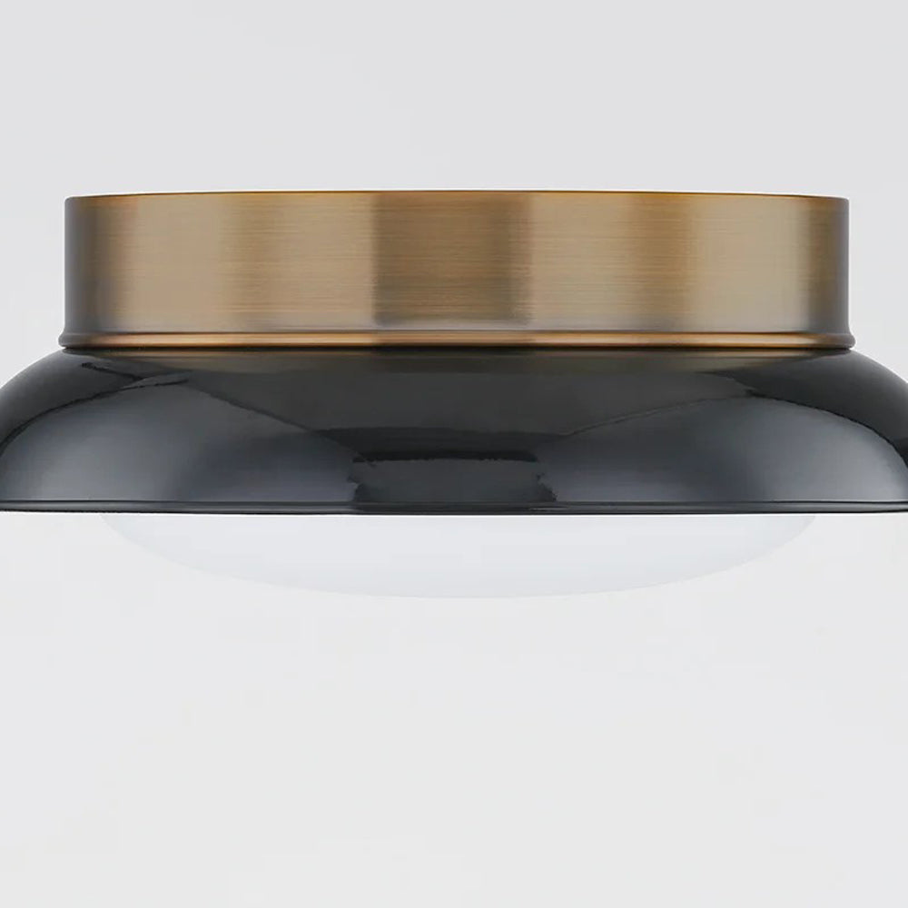 Arnie Flush Mount Ceiling Light in Detail.