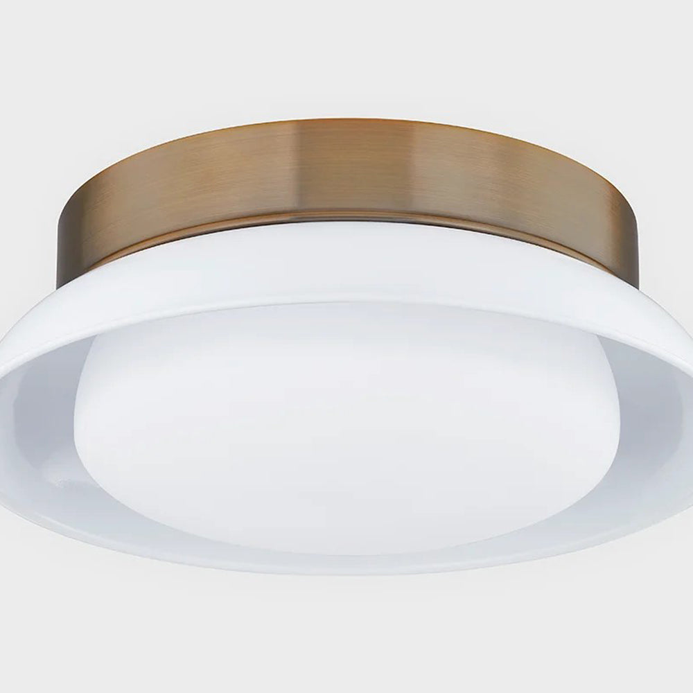 Arnie Flush Mount Ceiling Light in Detail.