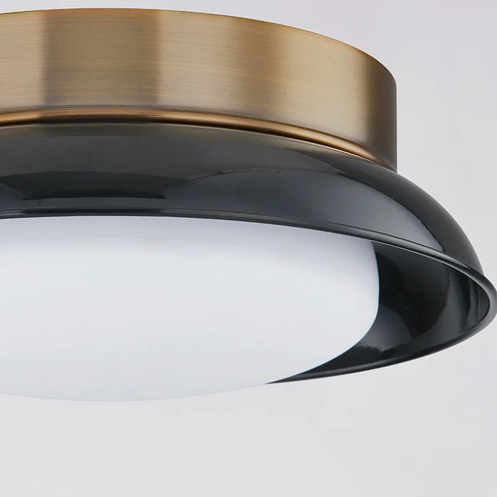 Arnie Flush Mount Ceiling Light in Detail.