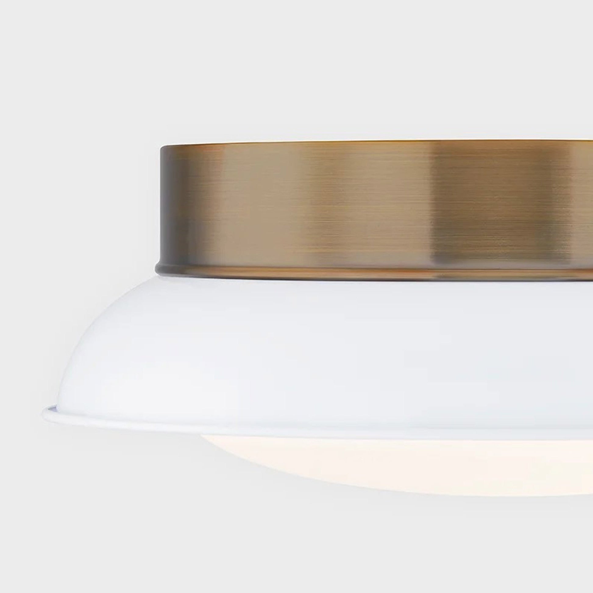 Arnie Flush Mount Ceiling Light in Detail.