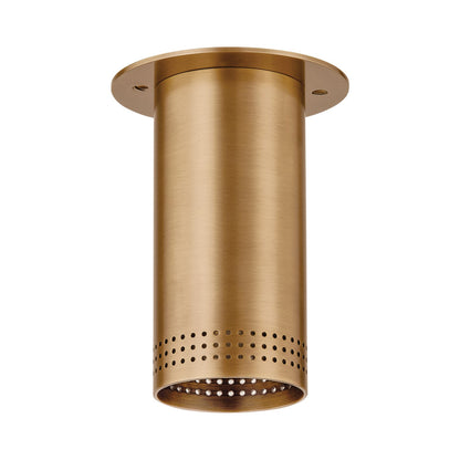 Berg Flush Mount Ceiling Light in Patina Brass.