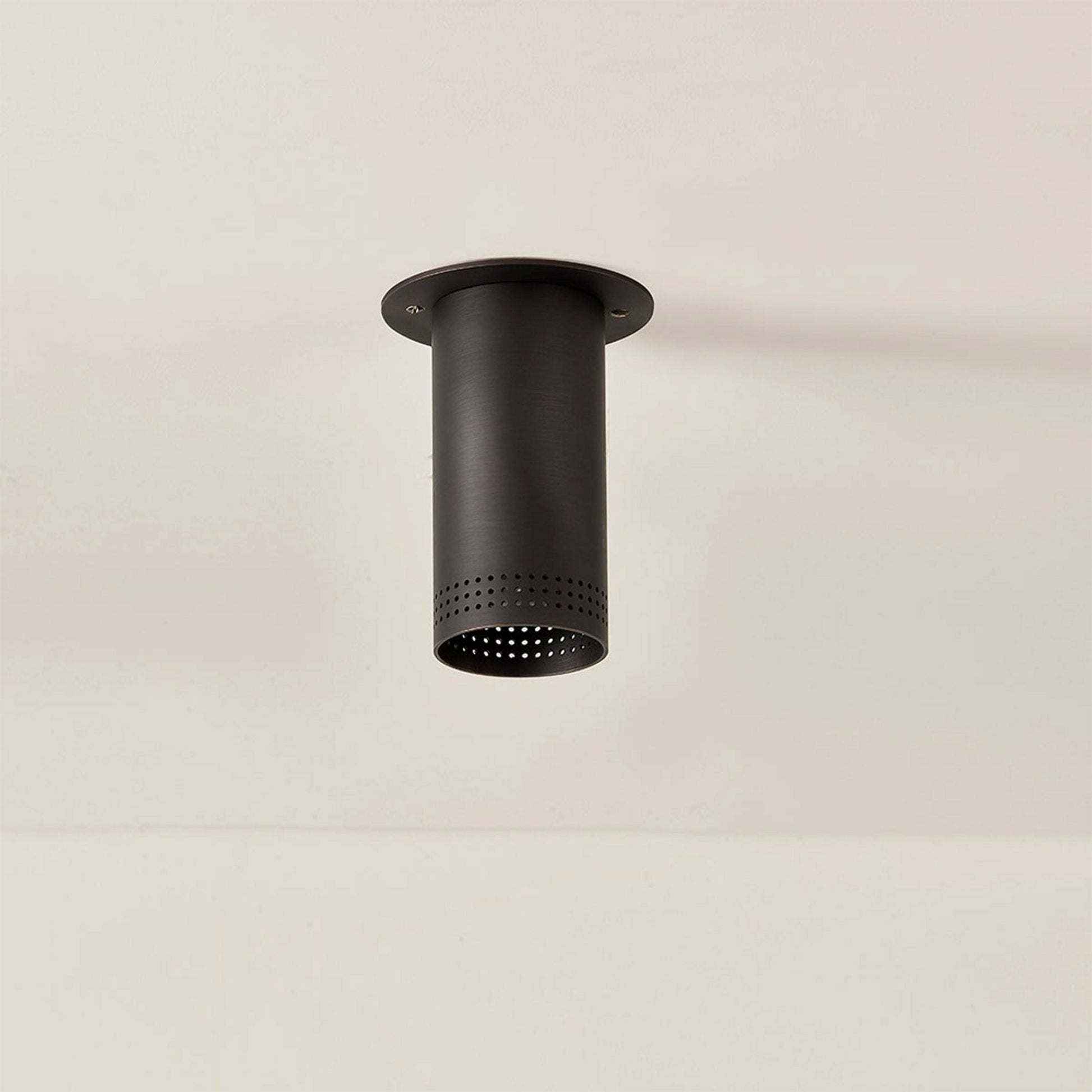 Berg Flush Mount Ceiling Light in Detail.