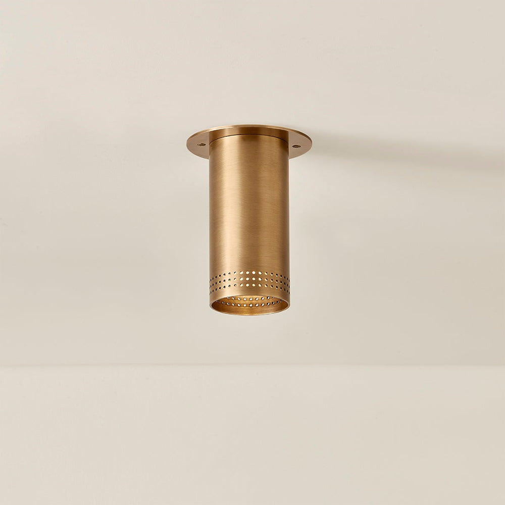 Berg Flush Mount Ceiling Light in Detail.