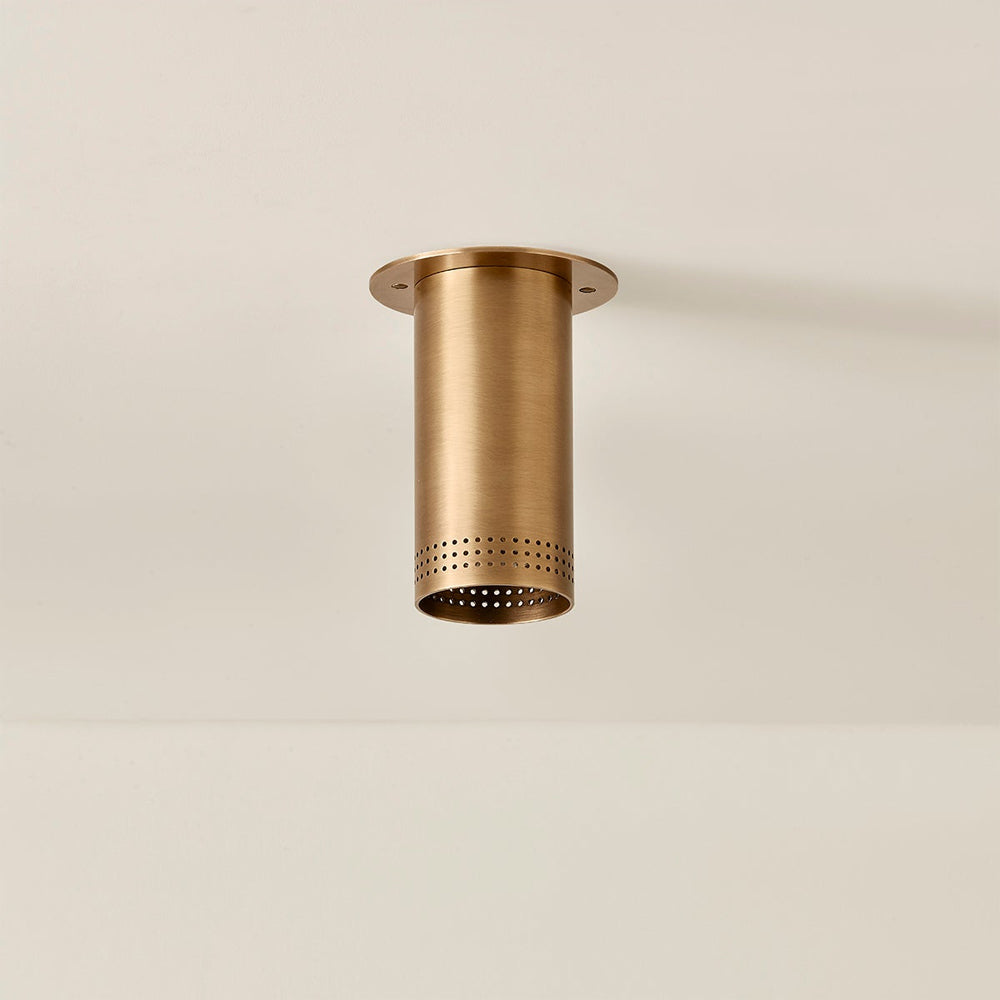 Berg Flush Mount Ceiling Light in Detail.