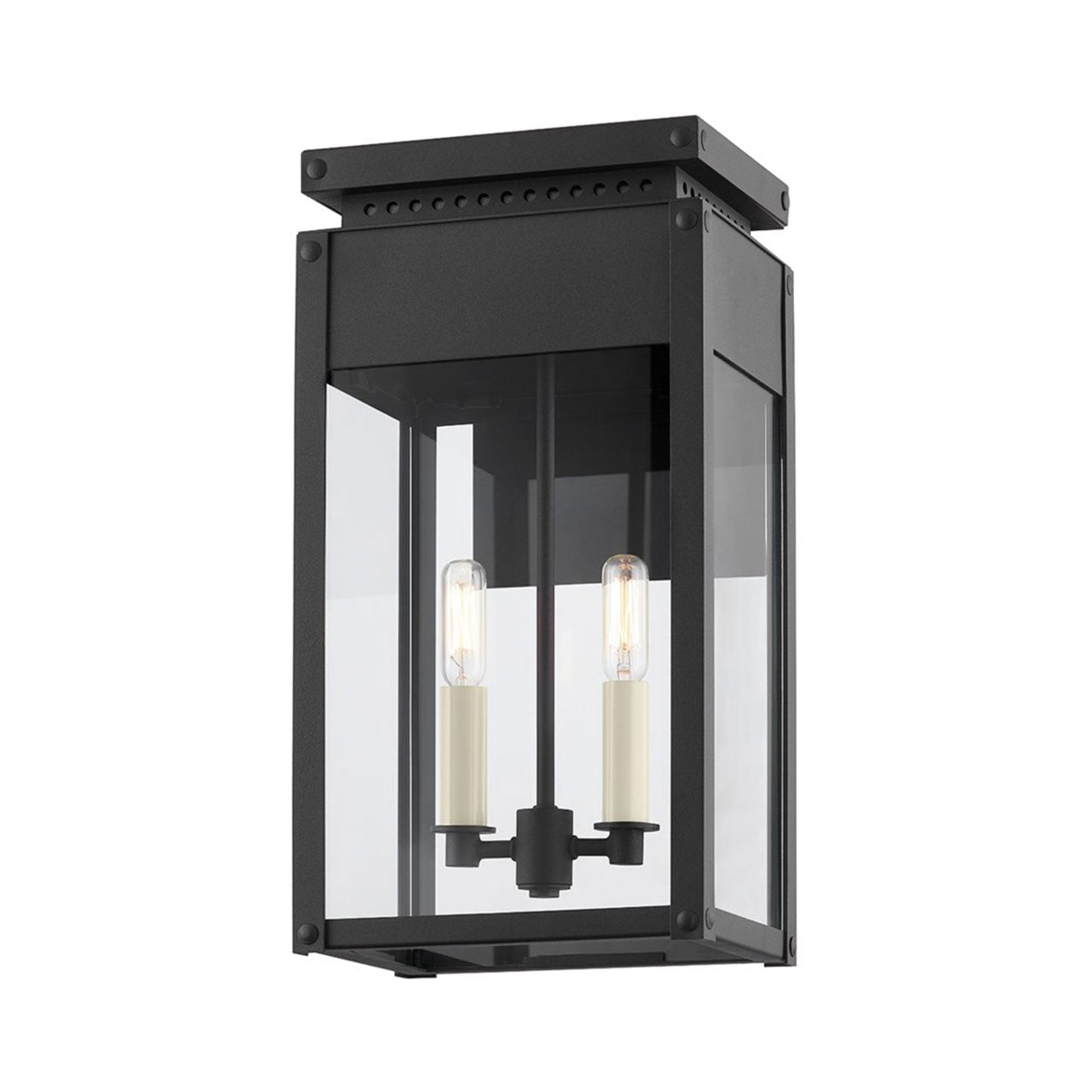 Braydan Outdoor Wall Light.