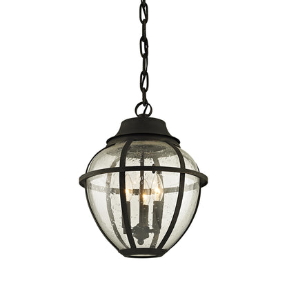 Bunker Hill Outdoor Pendant Light.