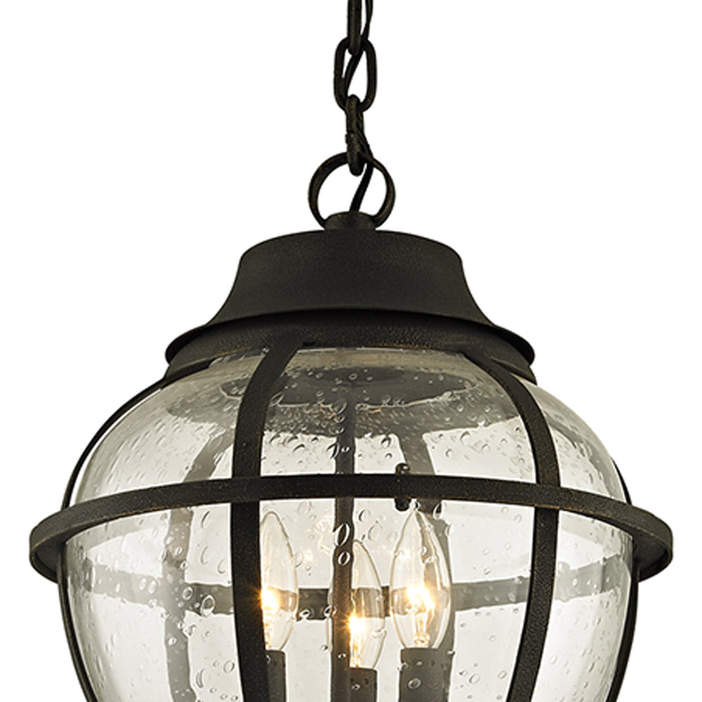 Bunker Hill Outdoor Pendant Light in Detail.
