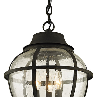 Bunker Hill Outdoor Pendant Light in Detail.