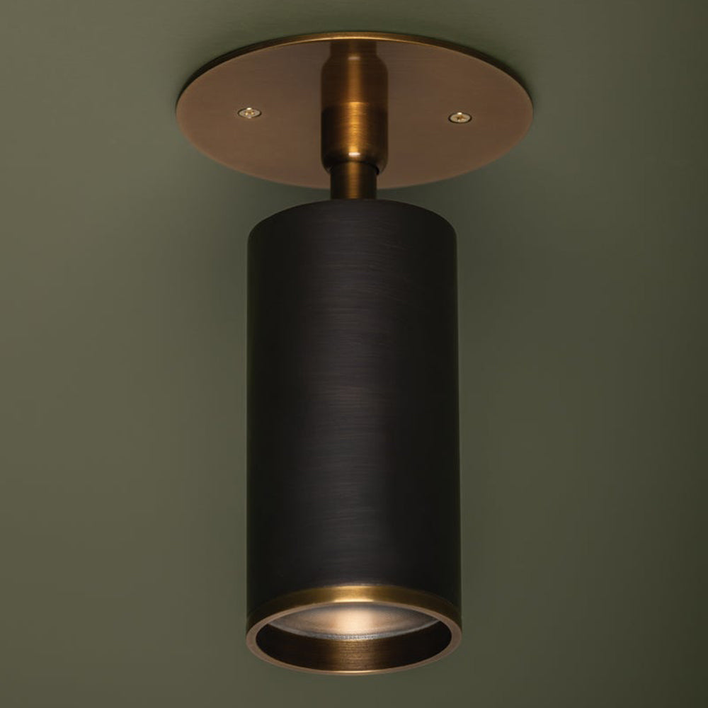 Caleb Flush Mount Ceiling Light in Detail.