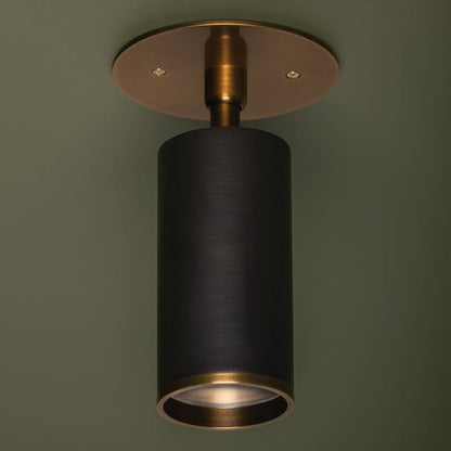 Caleb Flush Mount Ceiling Light in Detail.