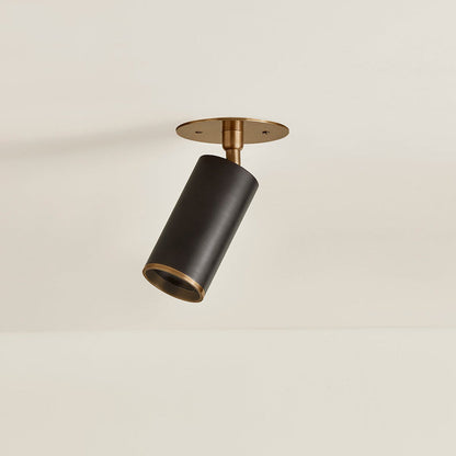Caleb Flush Mount Ceiling Light in Detail.