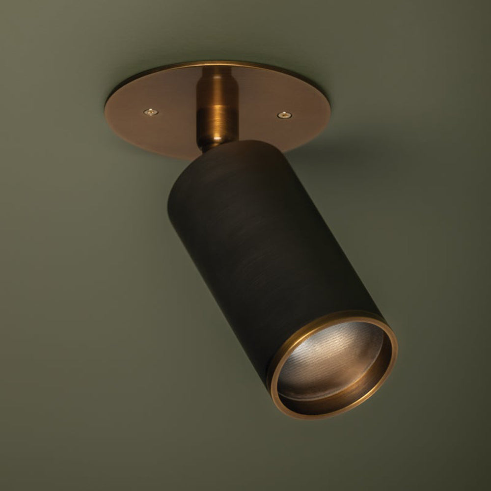 Caleb Flush Mount Ceiling Light in Detail.