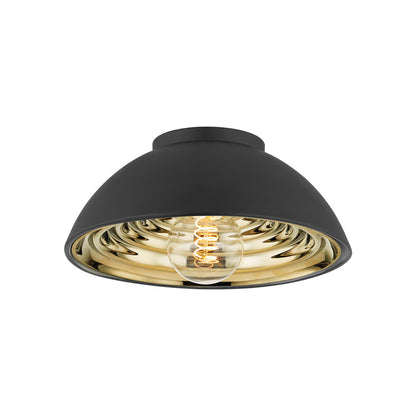Eclipse Flush Mount Ceiling Light.