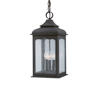 Henry Street Outdoor Pendant Light.