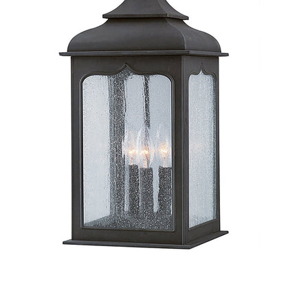 Henry Street Outdoor Pendant Light in Detail.